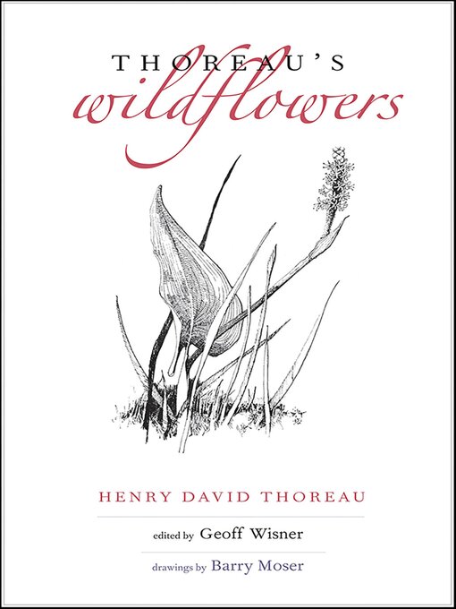 Title details for Thoreau's Wildflowers by Henry D. Thoreau - Available